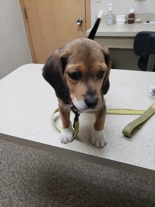 Crago Veterinary Clinic Picture 1