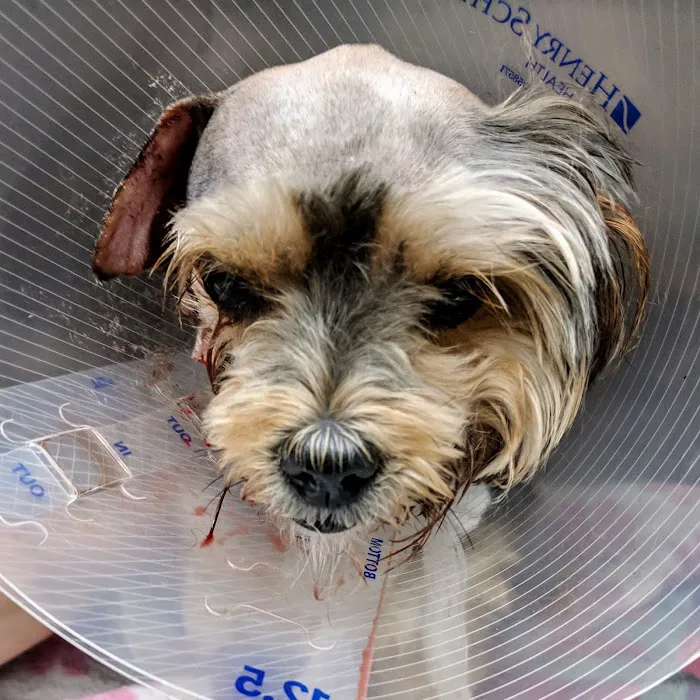 Crago Veterinary Clinic Picture 9