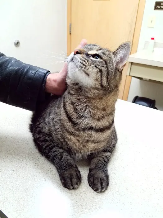 Crago Veterinary Clinic Picture 4