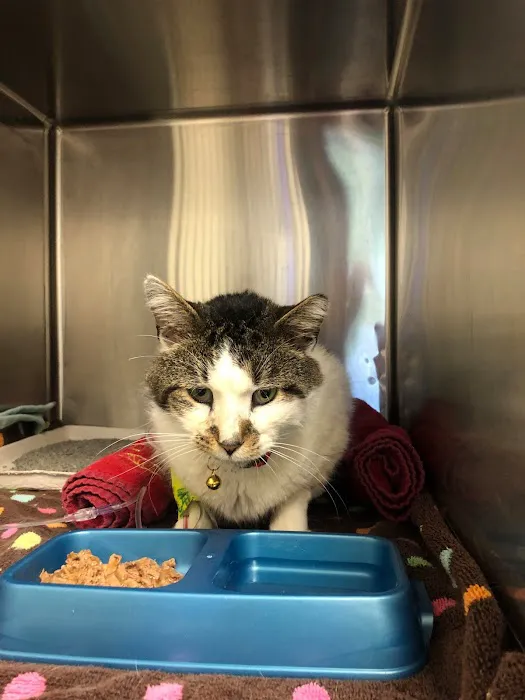 Doctors Park Veterinary Clinic Picture 1