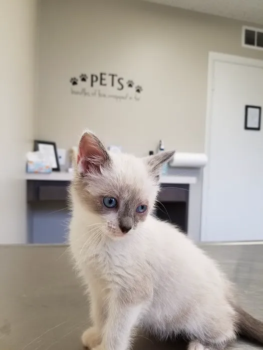 Doctors Park Veterinary Clinic Picture 5