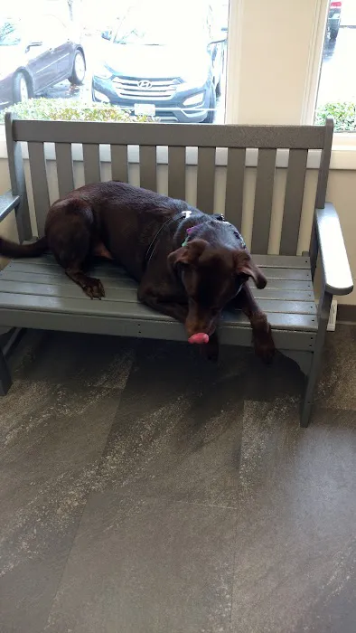 Doctors Park Veterinary Clinic Picture 9