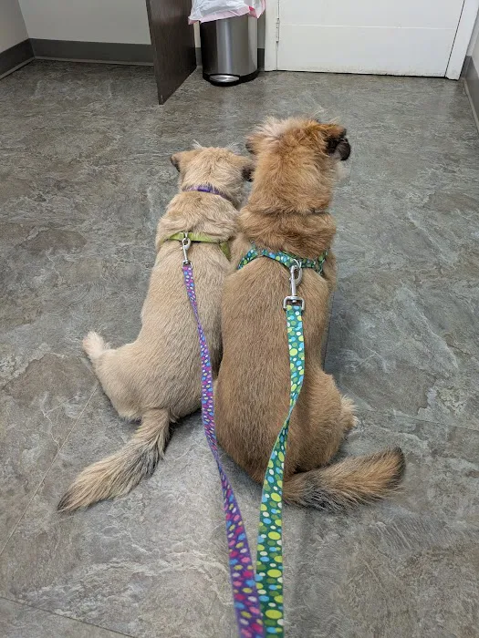 Doctors Park Veterinary Clinic Picture 7