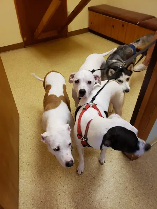 Lordstown Veterinary Clinic Picture 4