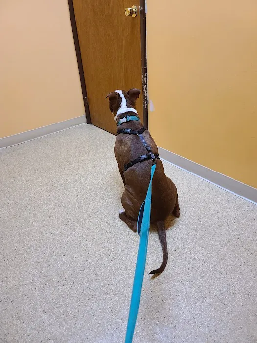 Lordstown Veterinary Clinic Picture 5