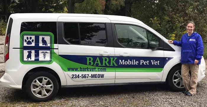 Bark Veterinary Clinic Picture 10