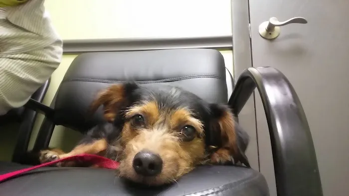 Lisbon Veterinary Clinic Inc Picture 4