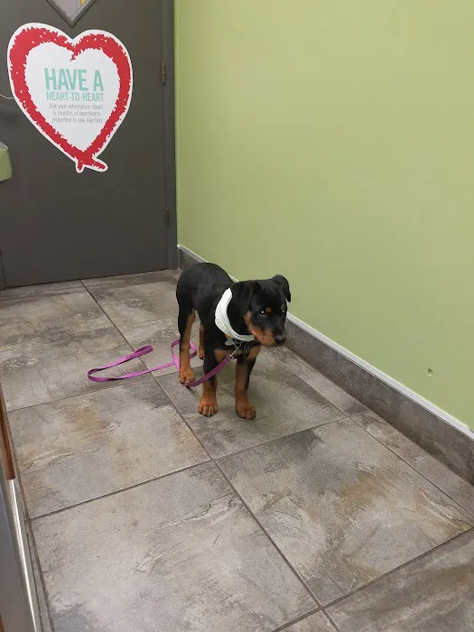 Lisbon Veterinary Clinic Inc Picture 7