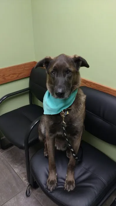 Lisbon Veterinary Clinic Inc Picture 3