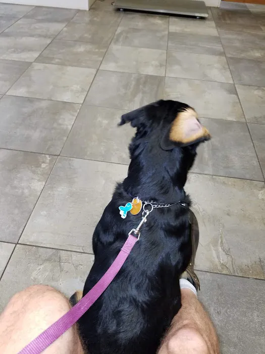 Lisbon Veterinary Clinic Inc Picture 8