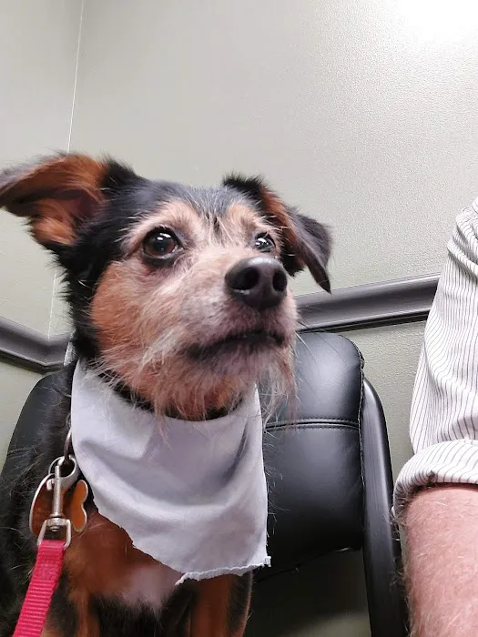 Lisbon Veterinary Clinic Inc Picture 6
