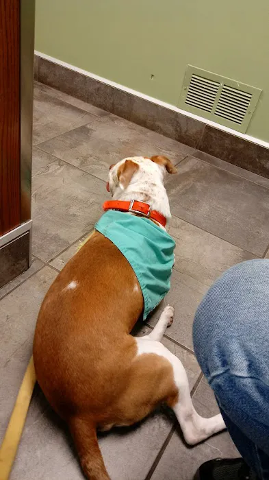 Lisbon Veterinary Clinic Inc Picture 9