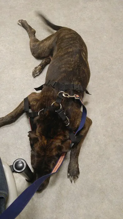 Adamson Veterinary Services Picture 4