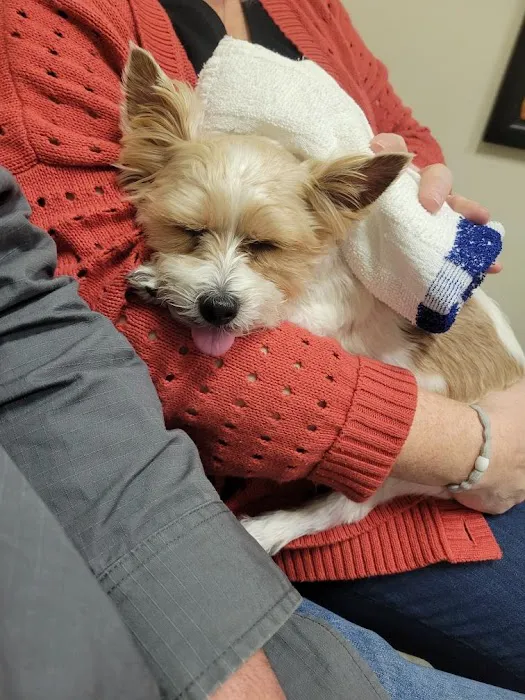 Adamson Veterinary Services Picture 9