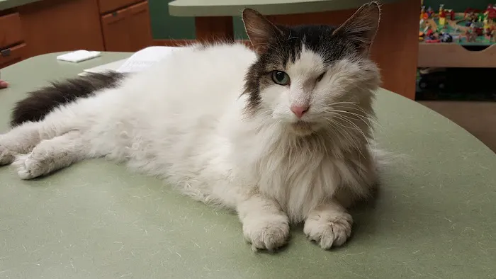 Western Reserve Vet Hospital Picture 2