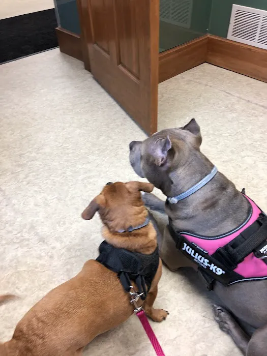 Western Reserve Vet Hospital Picture 5