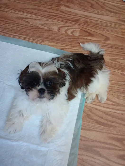 Western Reserve Vet Hospital Picture 1