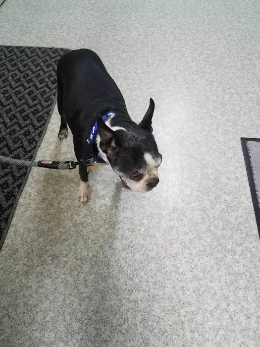 Grand Valley Veterinary Hospital Picture 5