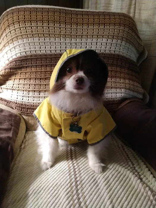 Grand Valley Veterinary Hospital Picture 2