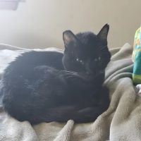 Grand Valley Veterinary Hospital ico