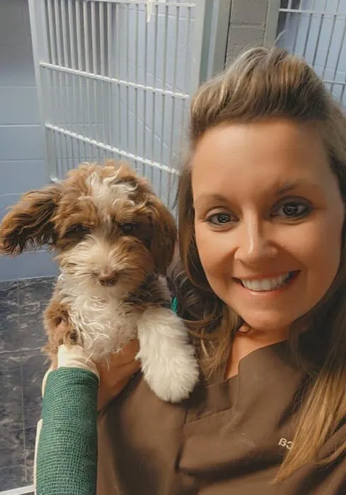 Animal Hospital of Orwell Picture 7