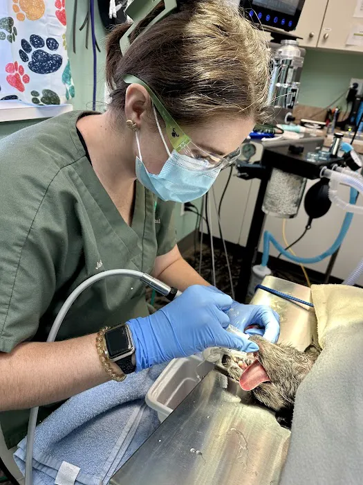 Animal Hospital of Orwell Picture 8