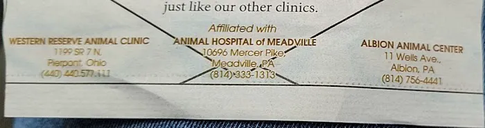Animal Hospital of Orwell Picture 6