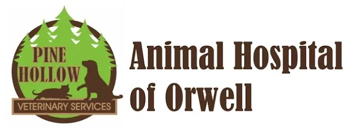 Animal Hospital of Orwell Picture 10