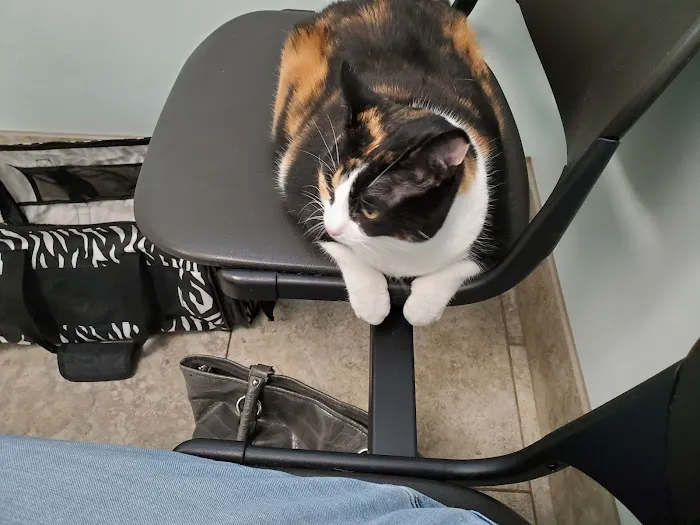 Champion Animal Hospital Picture 5