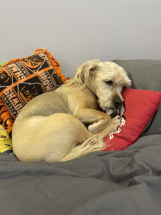 Champion Animal Hospital Picture 10