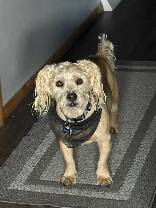 Champion Animal Hospital Picture 9