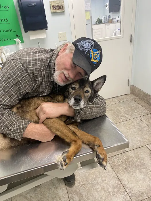 Champion Animal Hospital Picture 8