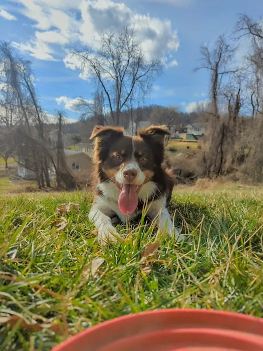 Barnesville Woodfield Veterinary Picture 4