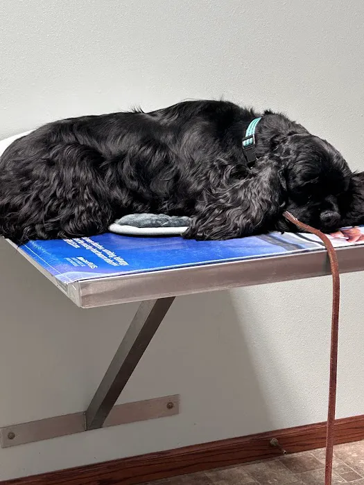 Barnesville Woodfield Veterinary Picture 10