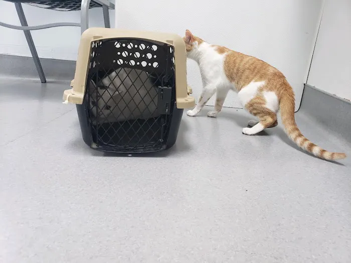 Barnesville Woodfield Veterinary Picture 6