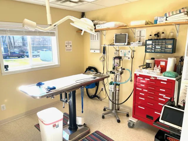 New Martinsville Animal Hospital Picture 1