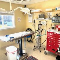 New Martinsville Animal Hospital ico