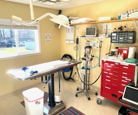 New Martinsville Animal Hospital