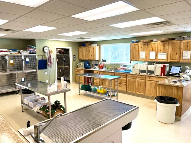 New Martinsville Animal Hospital Picture 5