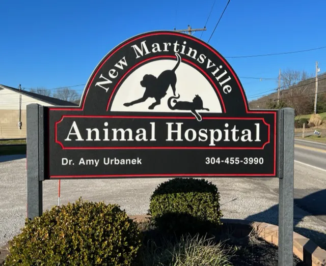 New Martinsville Animal Hospital Picture 9