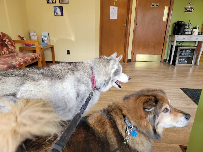Gold Ribbon Veterinary Clinic LLC Picture 3