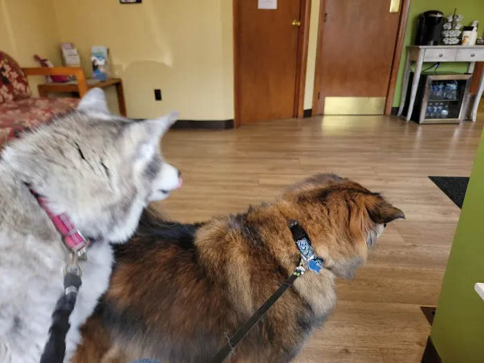 Gold Ribbon Veterinary Clinic LLC Picture 2