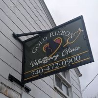 Gold Ribbon Veterinary Clinic LLC ico
