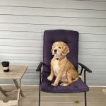 Springhill Animal Clinic