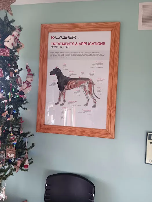 Minerva Veterinary Clinic Picture 5