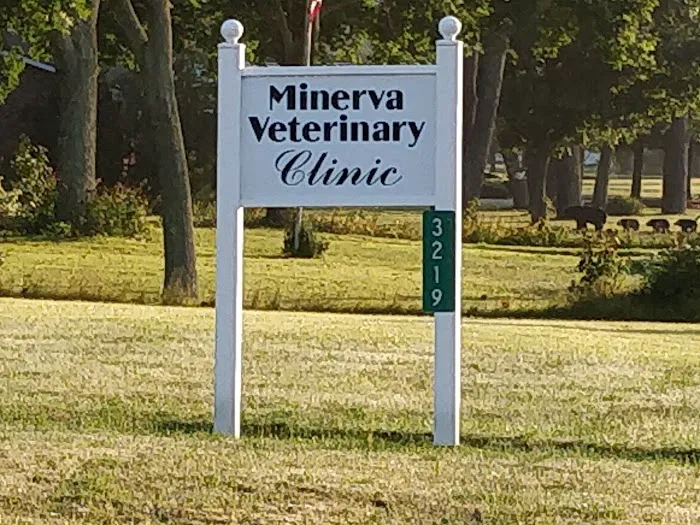 Minerva Veterinary Clinic Picture 9