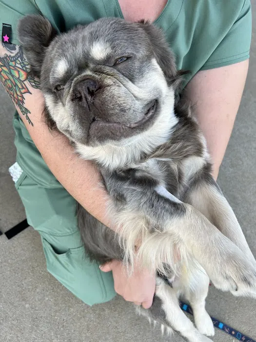 Minerva Veterinary Clinic Picture 7