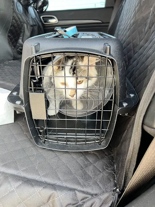 Minerva Veterinary Clinic Picture 10