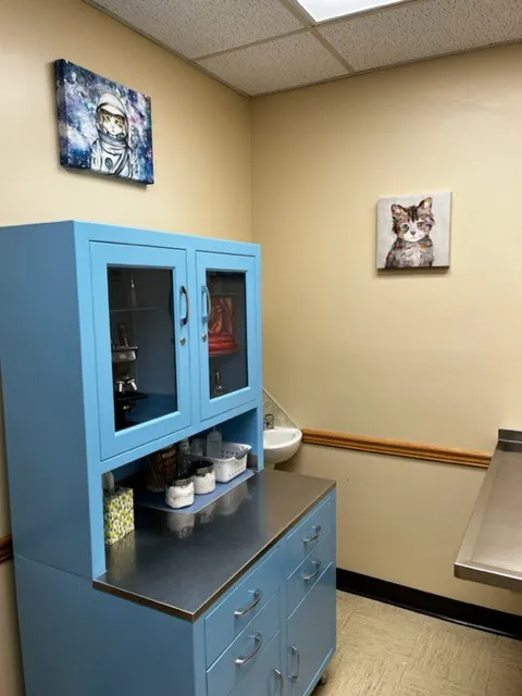 St Kitts Veterinary Clinic Picture 8