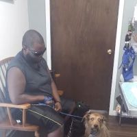 Twin City Veterinary Outpatient Clinic ico